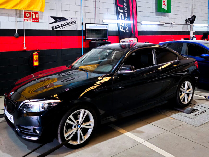 Repro BMW 218D 2.0D 150CV 2019